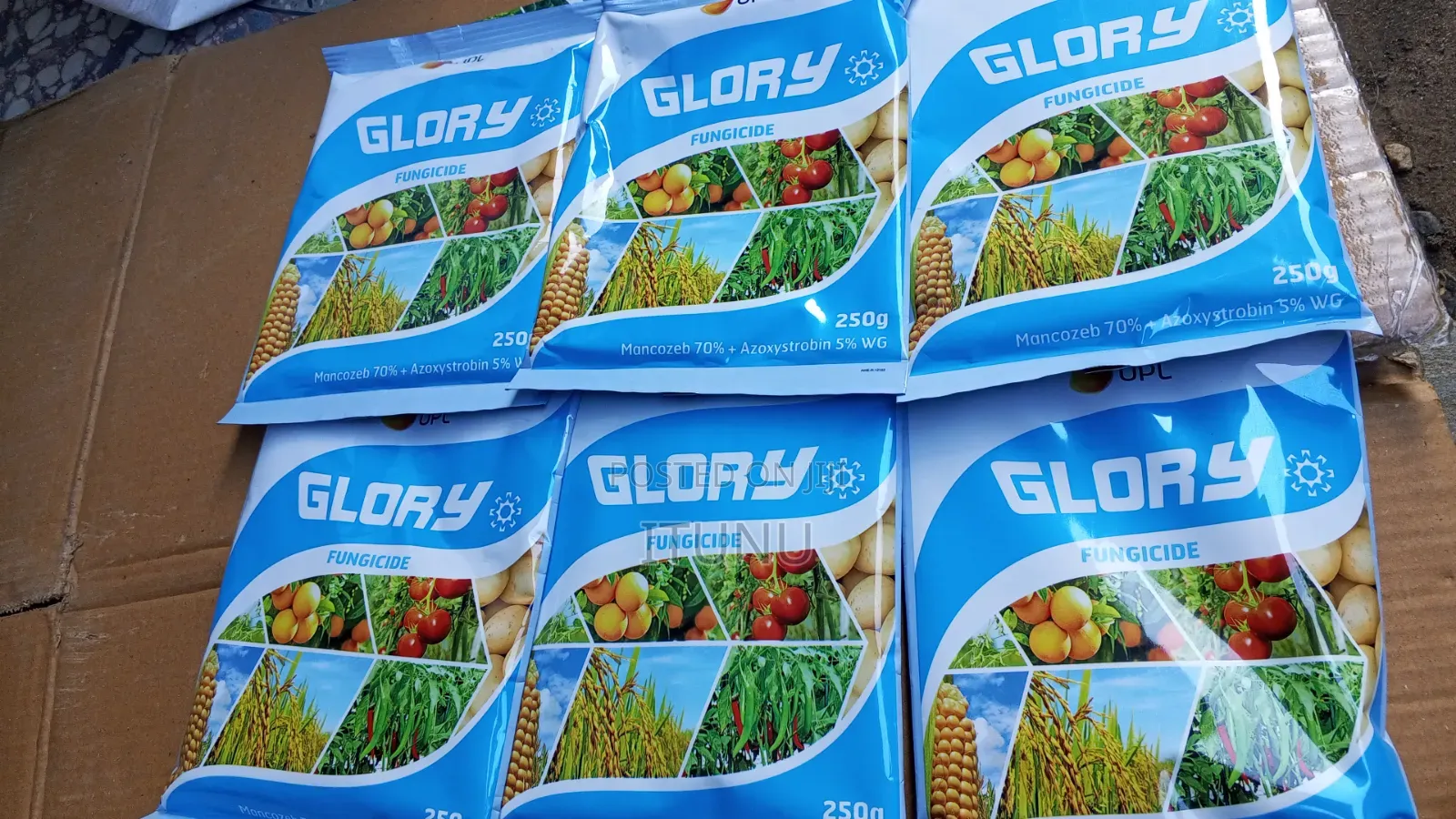 Glory Fungicide 250g