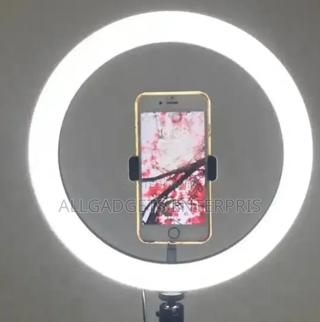 Havit 10 Inches Ring Lights