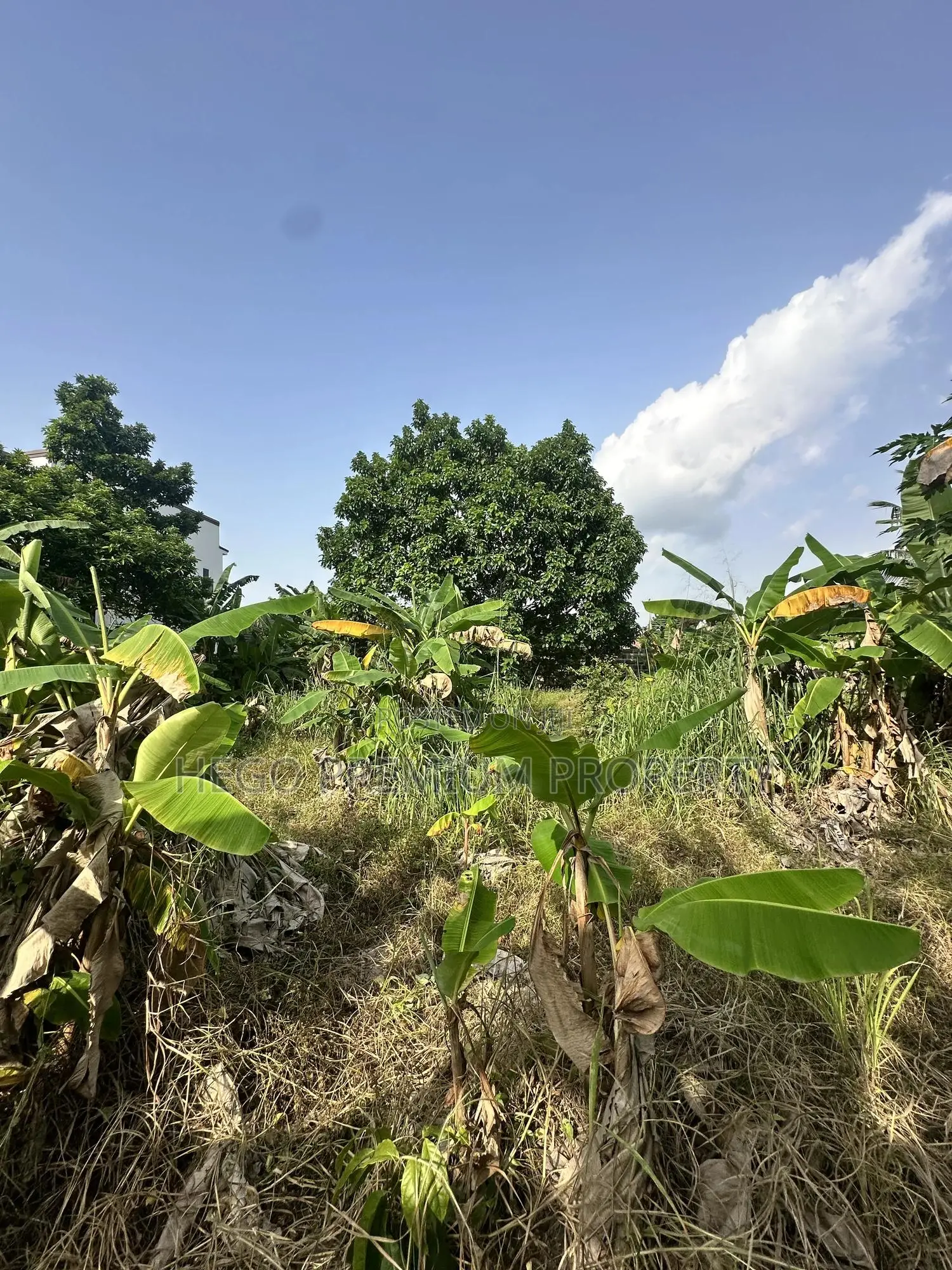 Land for Sale in Port Harcourt