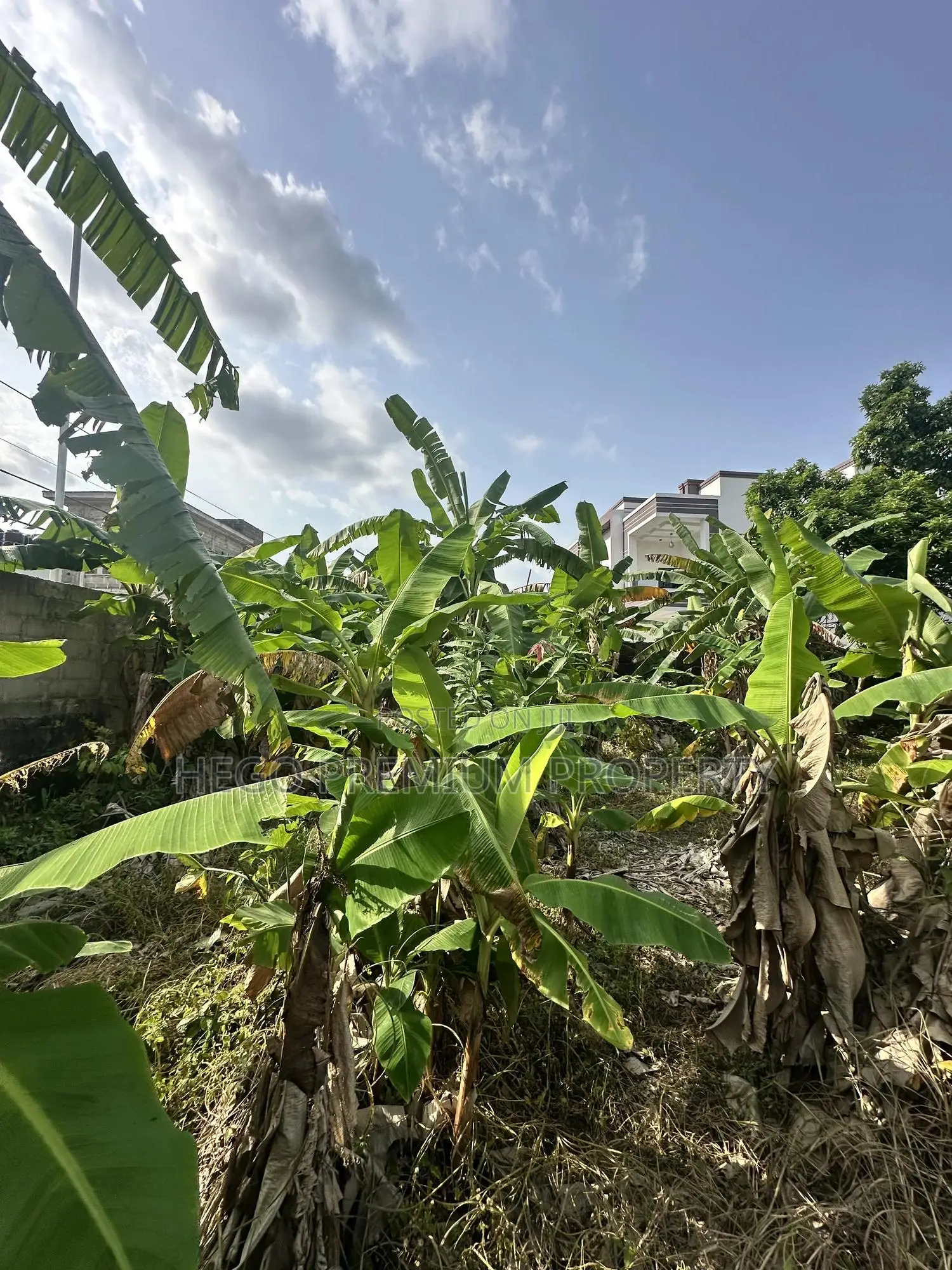 Land for Sale in Port Harcourt