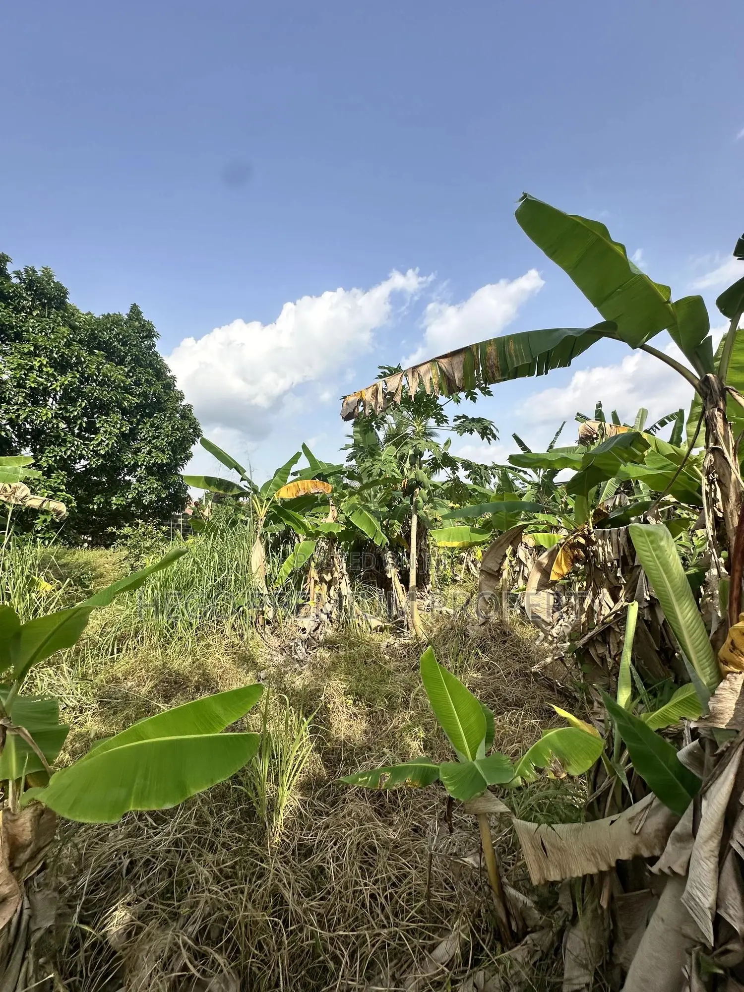 Land for Sale in Port Harcourt