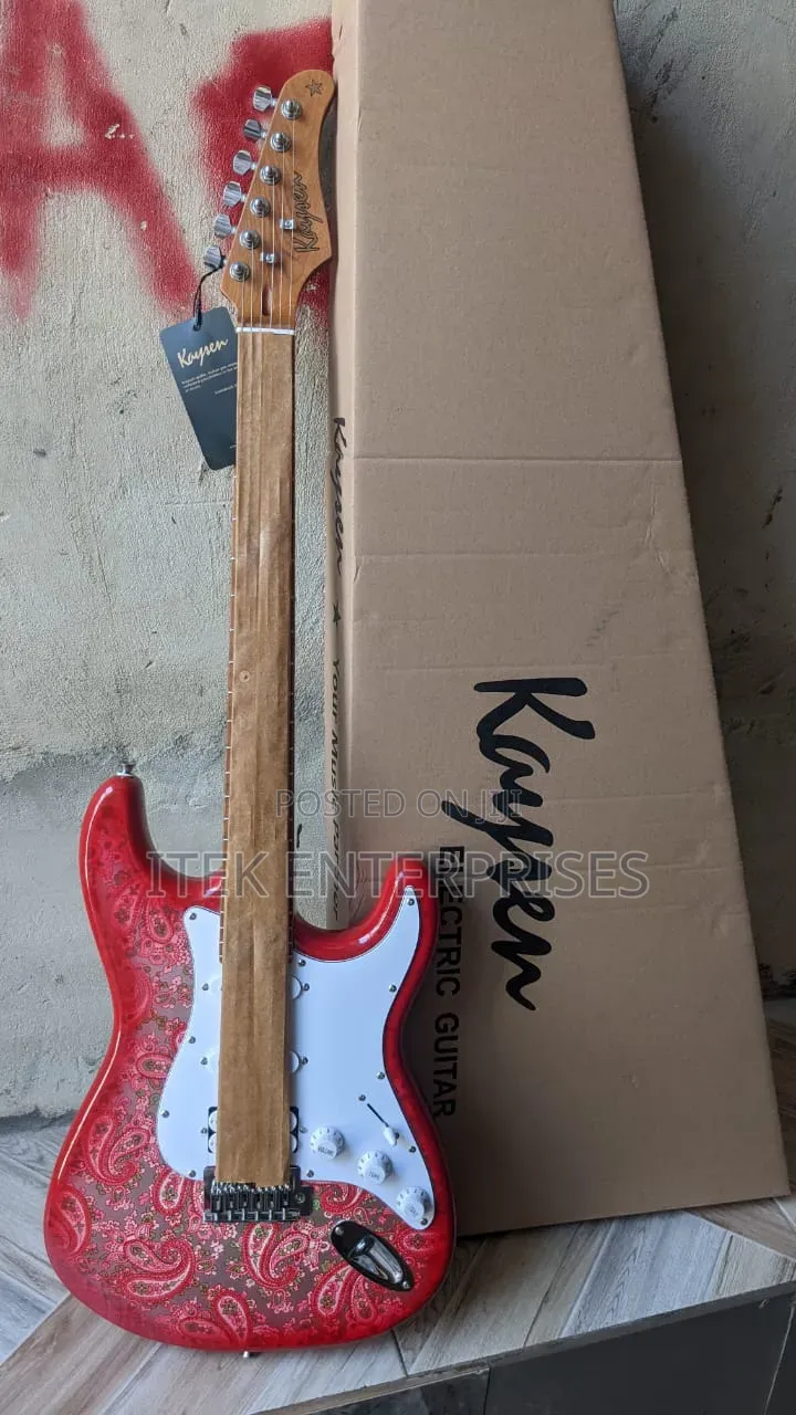 Kaysen Electric Guitar - Vibrant Paisley Design