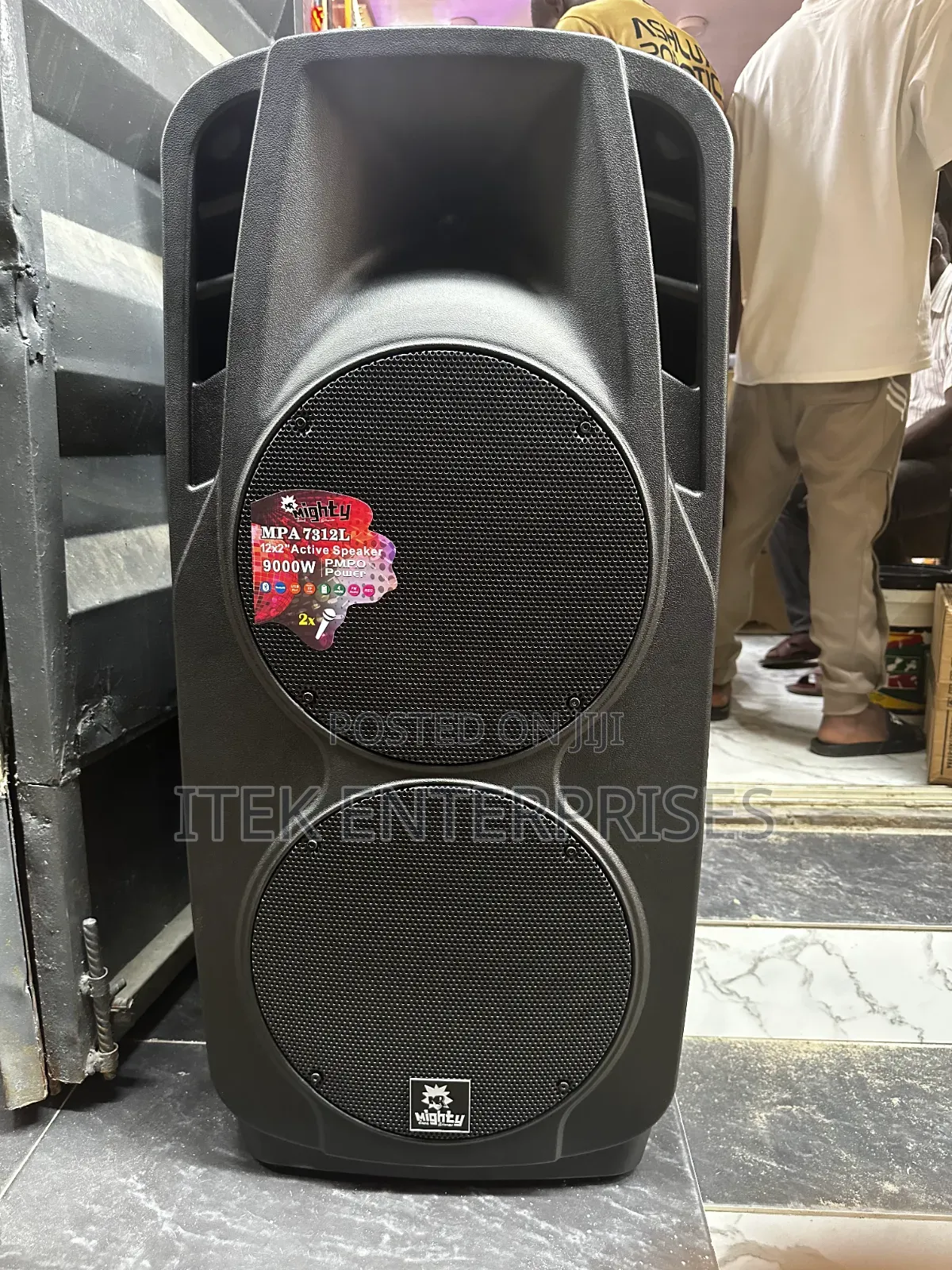 Mighty Pro Audio Double 12 Inches Pa System