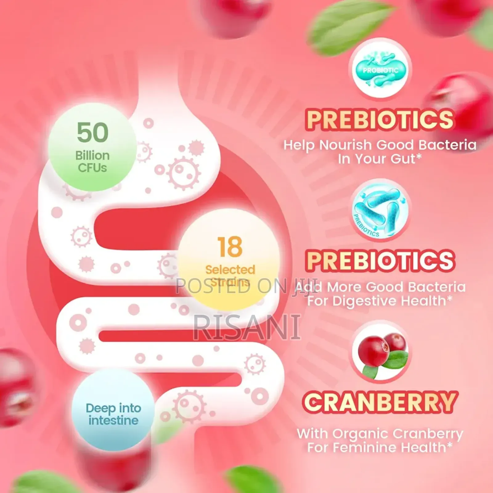 Women's Probiotics Gummies Flavoured With Cranberry