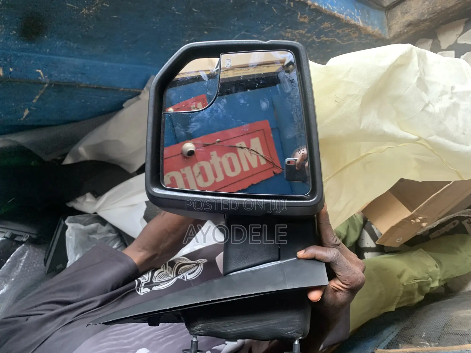 Ford F150 Side Mirror
