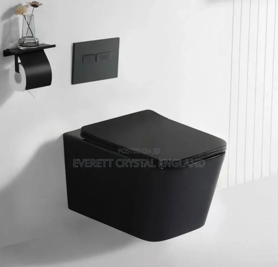 Matt Black Conceal Water Closet