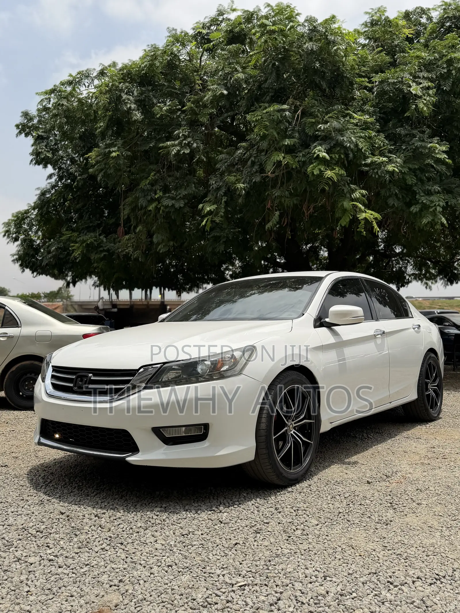 Honda Accord Sport 4dr Sedan (2.4L 4cyl 6M) 2014 White