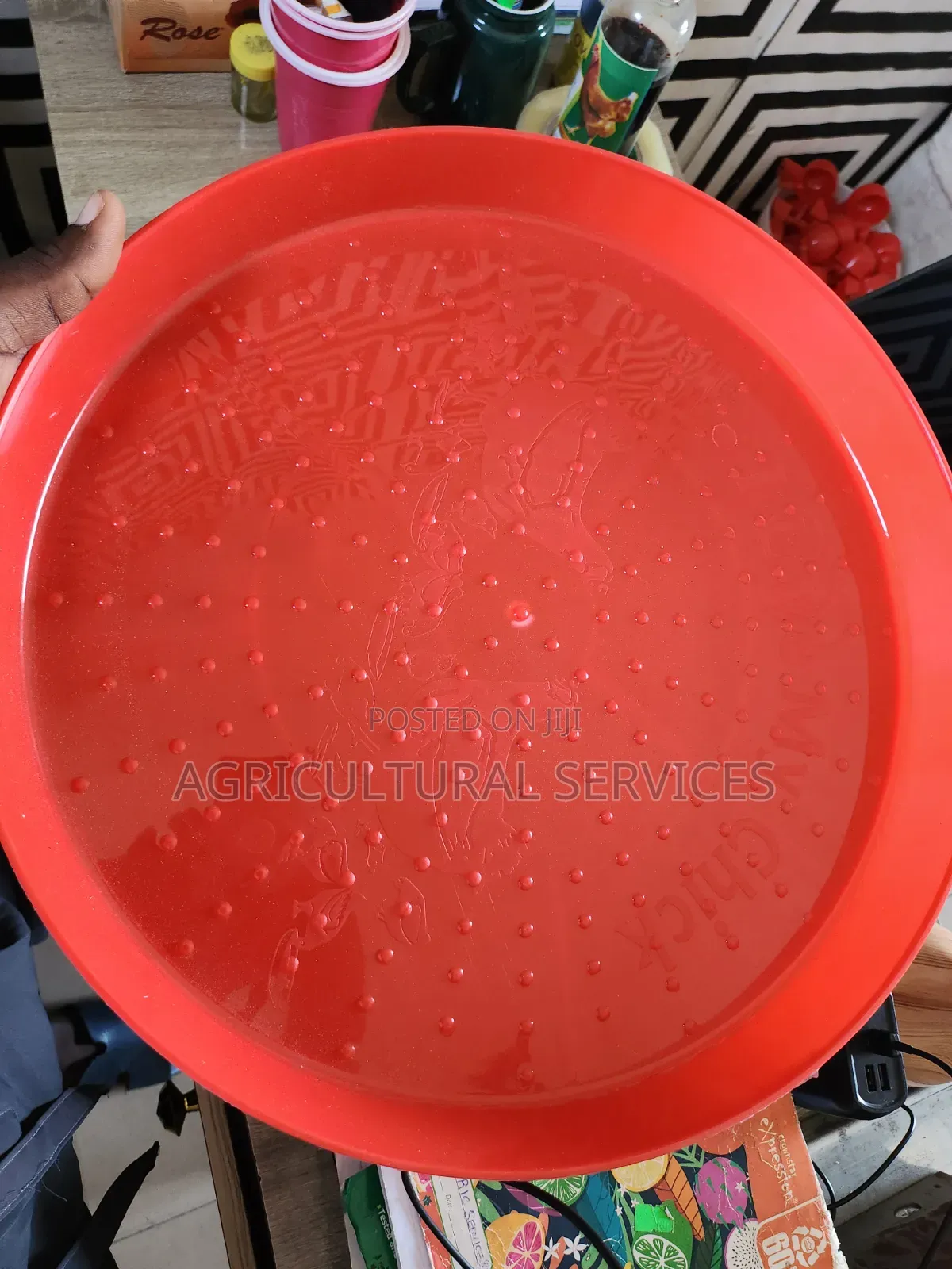 Beautiful Grain Feeder