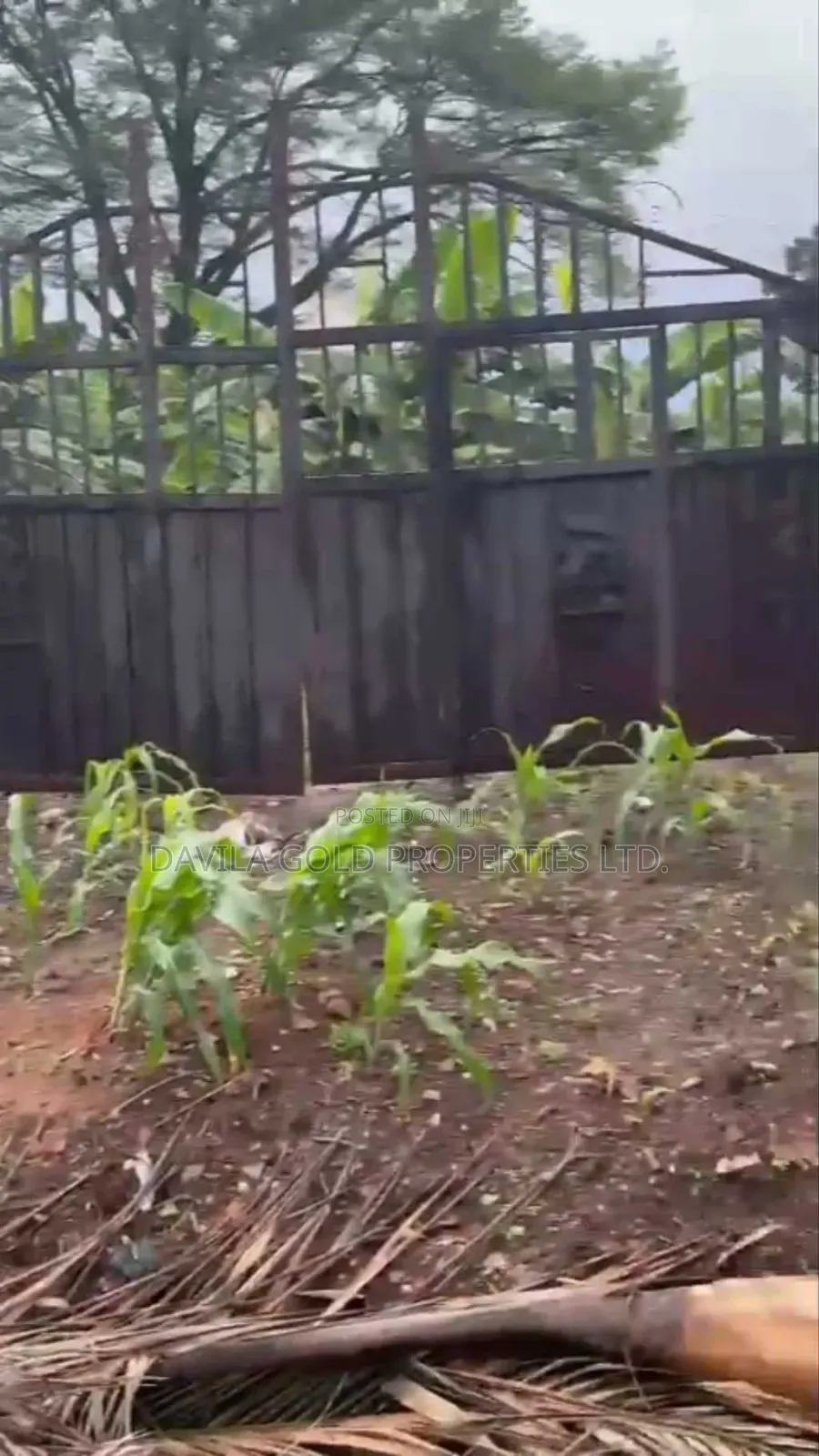 Super Strategic Land at Gra for Sale