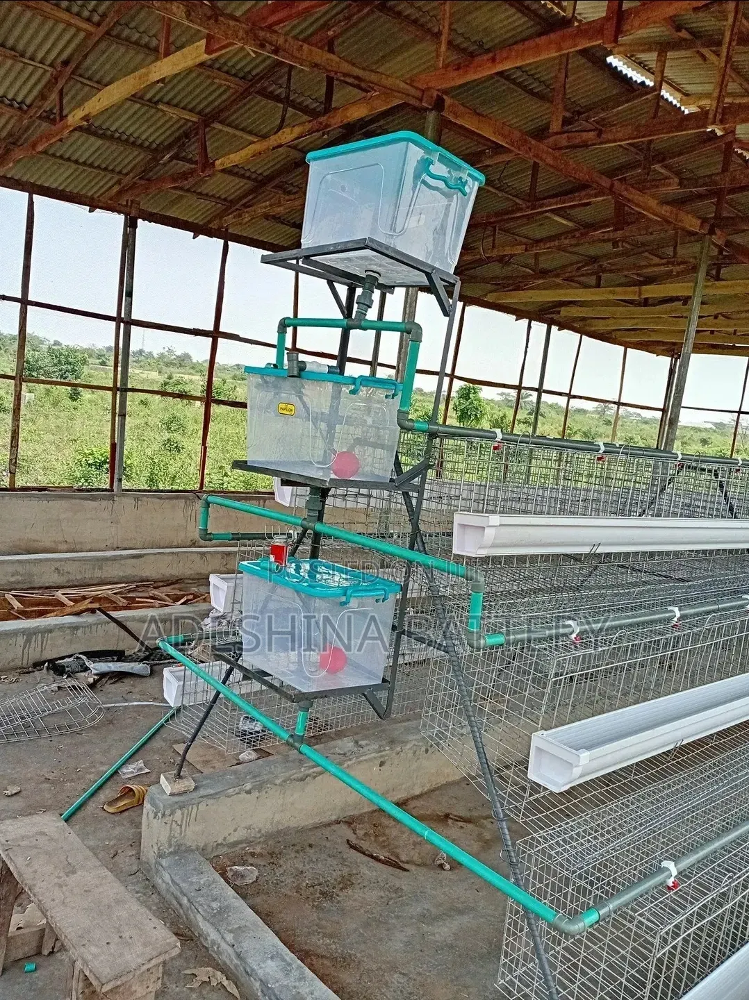 King Battery Cage