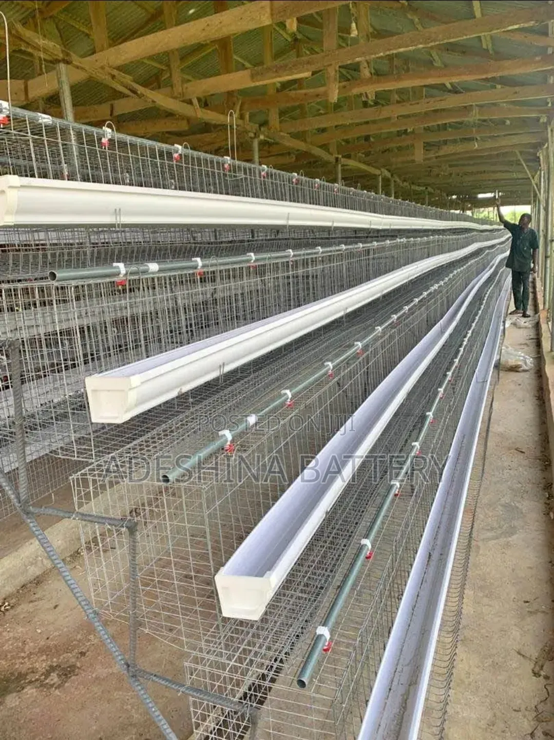 King Battery Cage