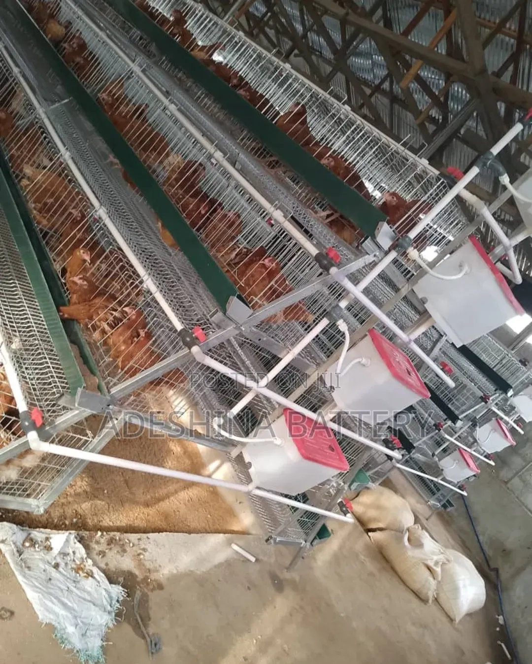 Click and Order for Your Cages