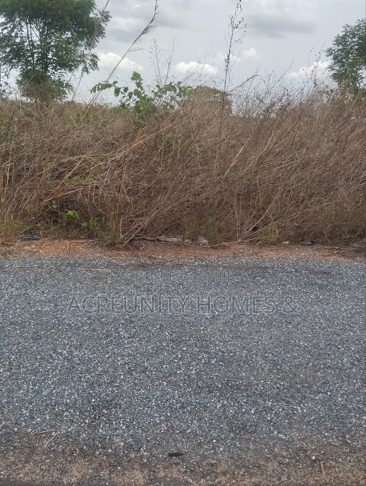 2 Plots of Land Facing Lautech Campus, Xpress Way, Iseyin Oyo State