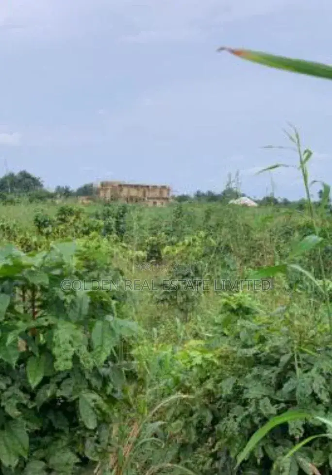 One Plot of Land for Sale