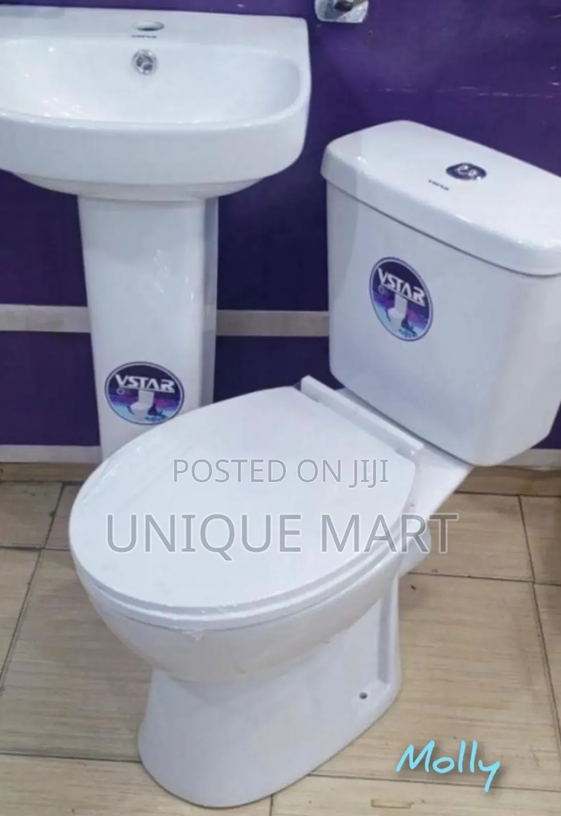 Complete Set Water Closet, Includes: Seat, Tank, Basin and Pedestal