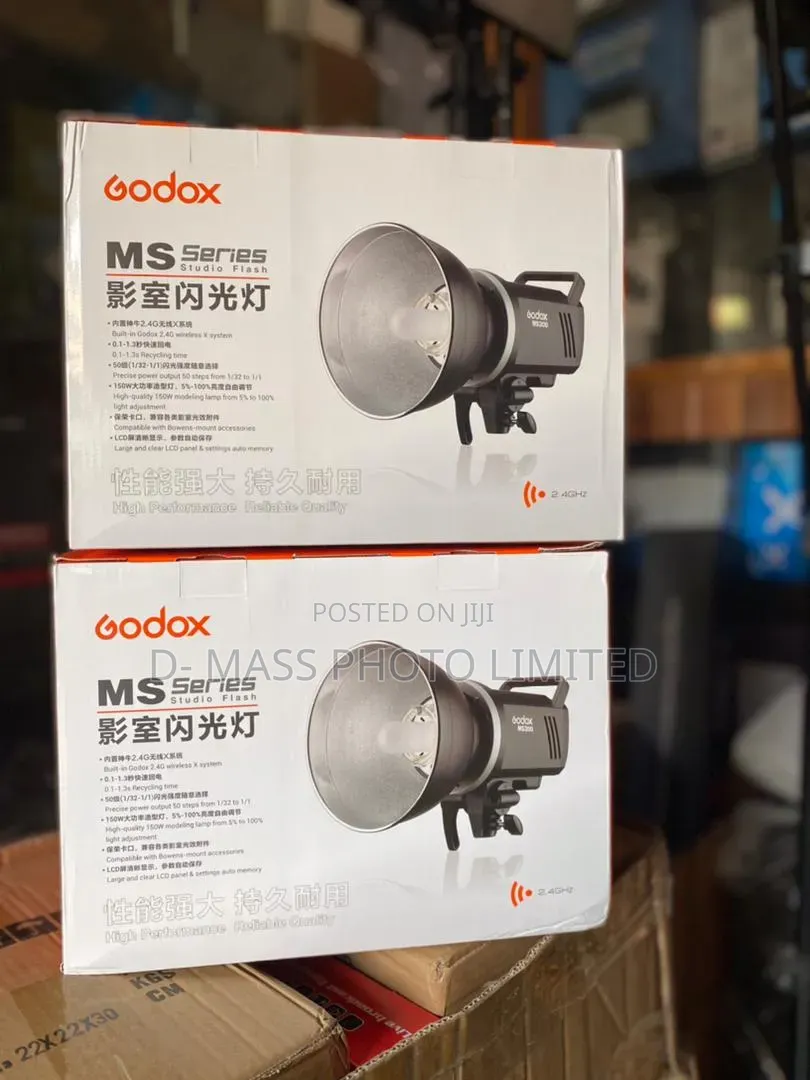 Godox Flash Light Ms 300