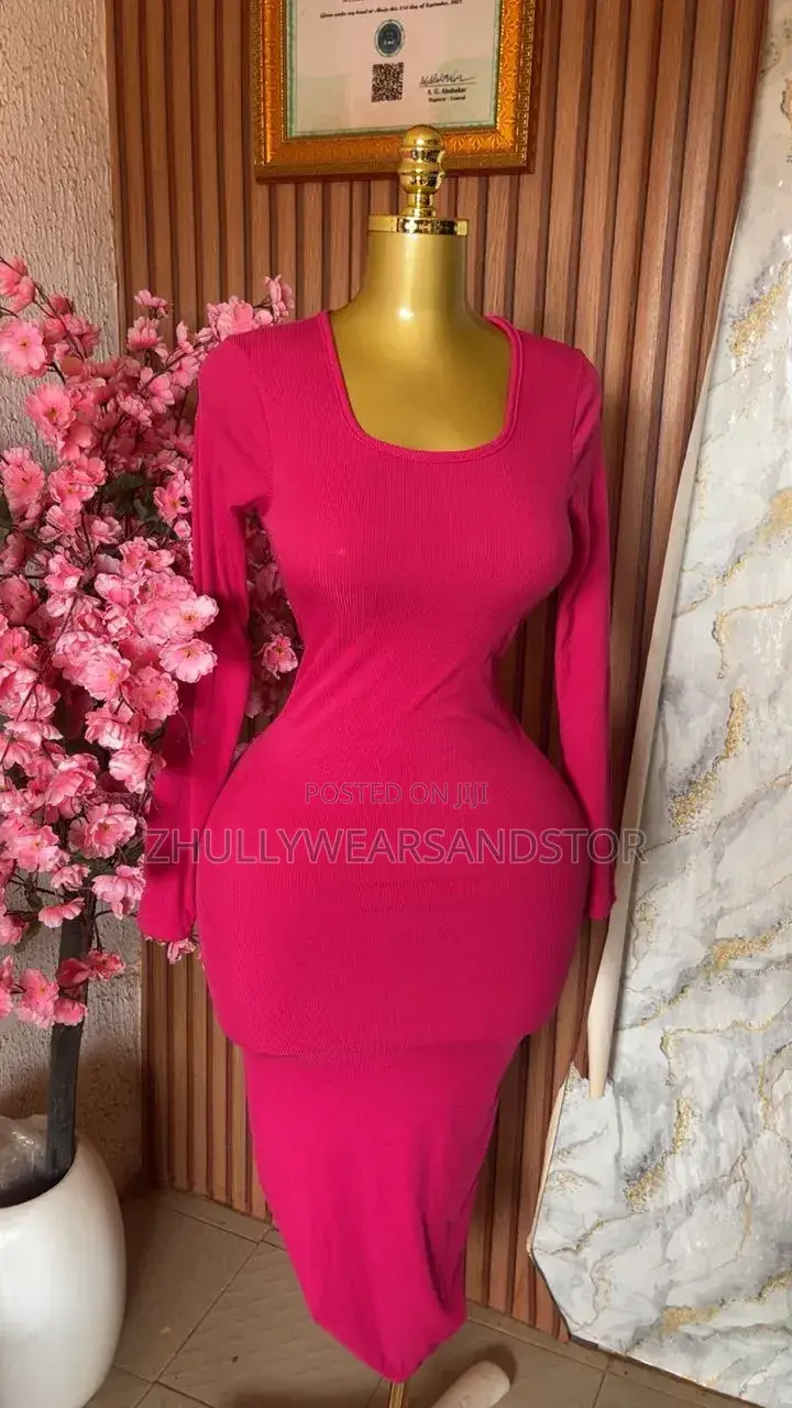 Long Dresses / Long Sleeve Body Con Gown