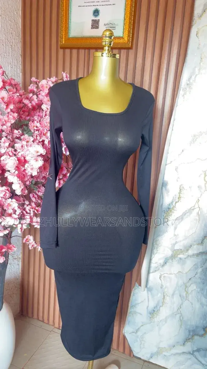 Long Dresses / Long Sleeve Body Con Gown