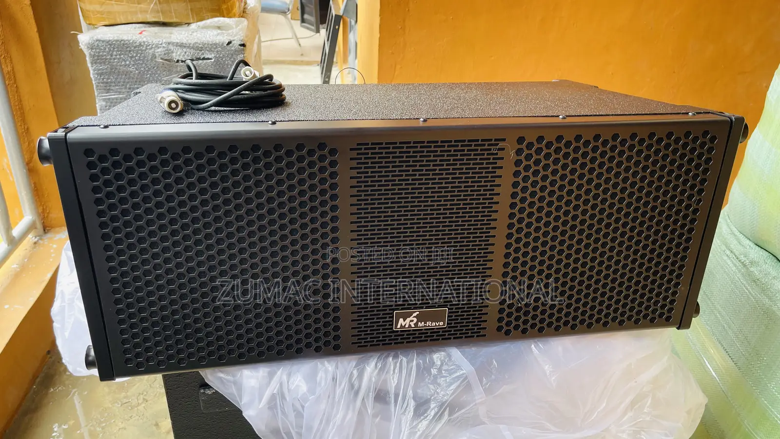 M-Rave 10 Inches Line Arrey Speaker