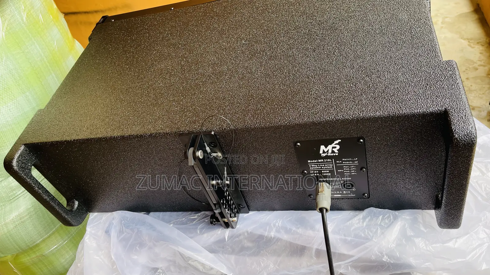 M-Rave 10 Inches Line Arrey Speaker