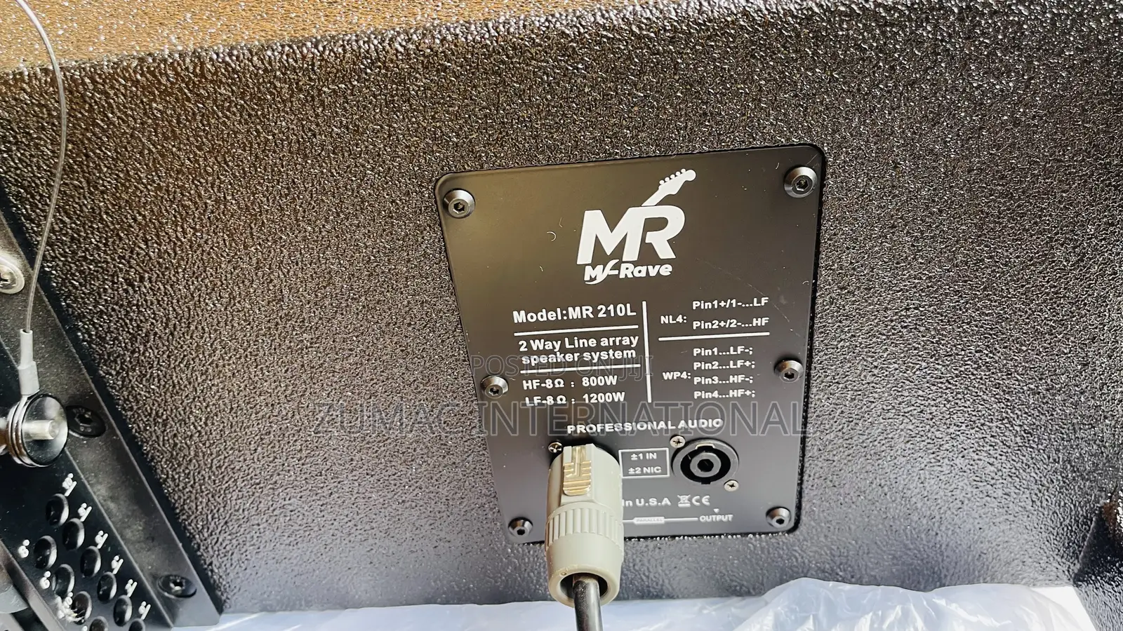 M-Rave 10 Inches Line Arrey Speaker