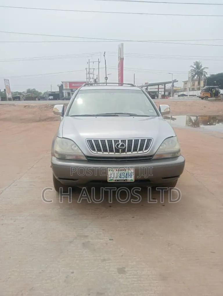 Lexus RX 300 4WD 2002 Gray