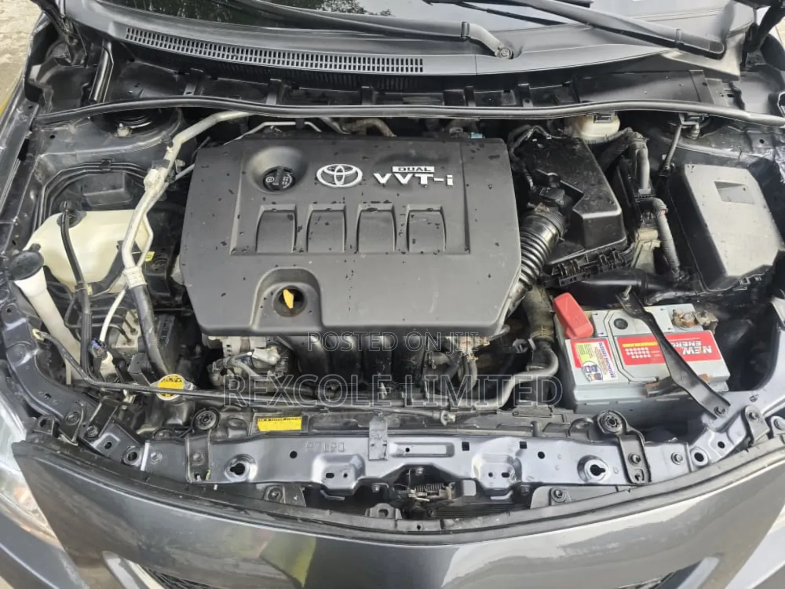 Toyota Corolla LE 4dr Sedan (1.8L 4cyl 4A) 2010 Gray