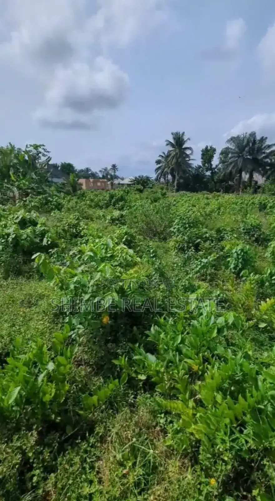 Land for Sale