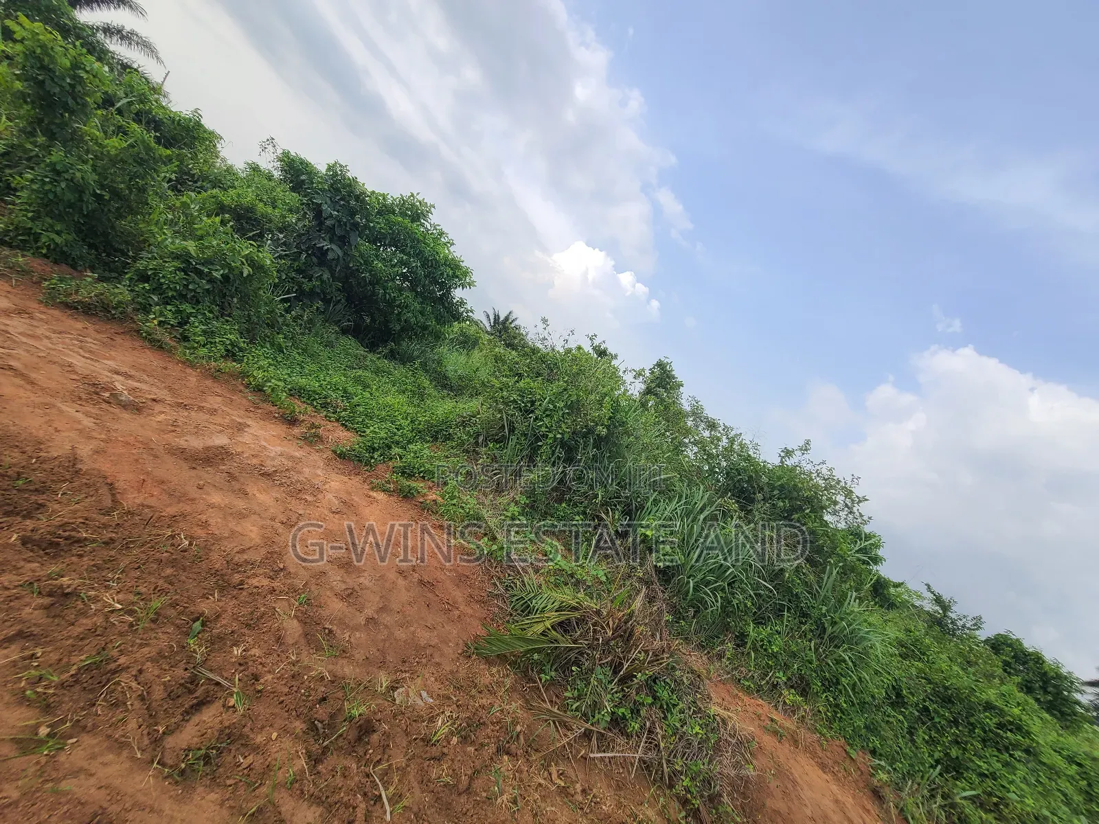 50ft by 100ft for Sale at Obagie Community Off Sapele Road