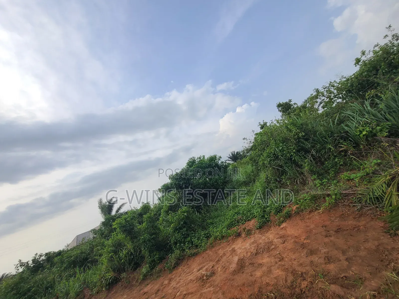 50ft by 100ft for Sale at Obagie Community Off Sapele Road