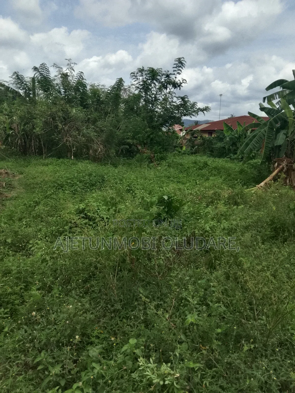 Fantastic Land for Sale