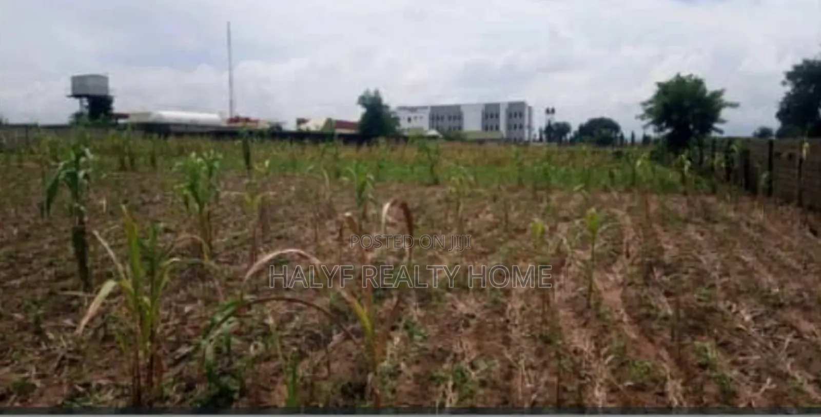Plot of Land