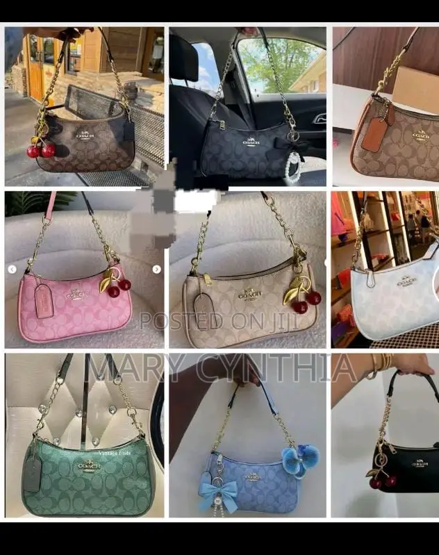 Luxury Coach Bag