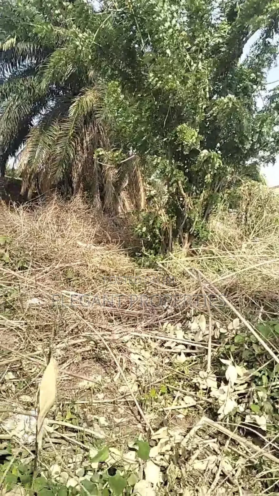 2 Plots of Land at Temidire Estate Very Close to the Main Tarred Road
