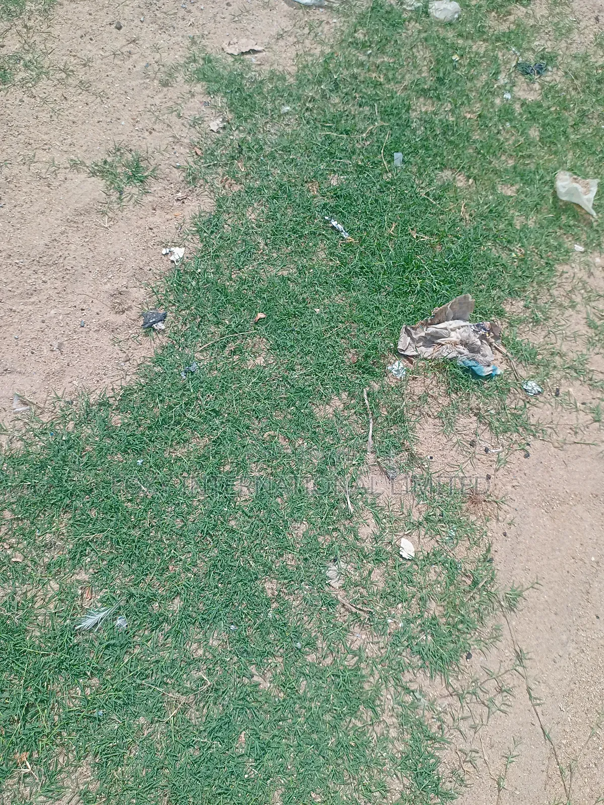 Filling Station Land For Sale At Katampe