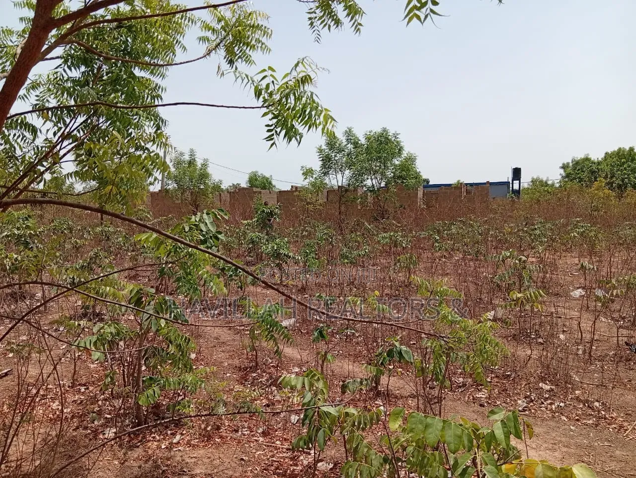 50 Plots of Land for Sale