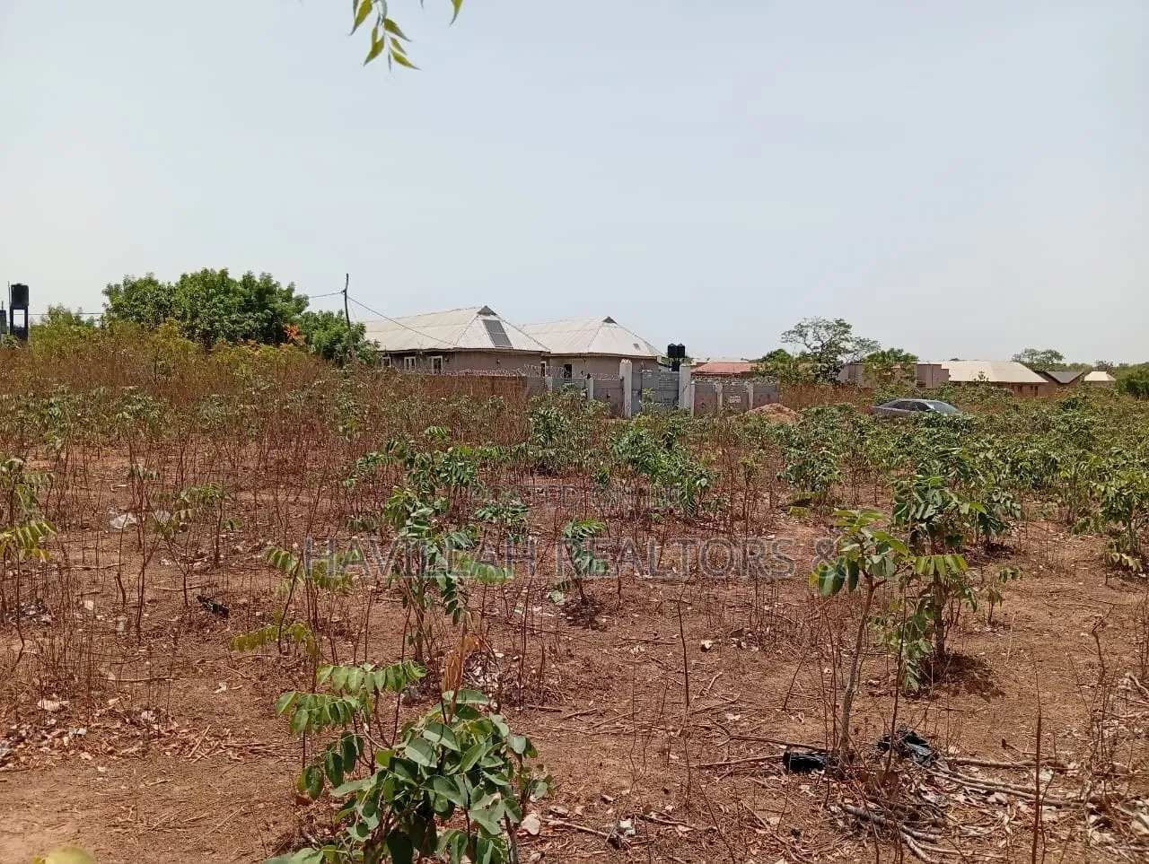 50 Plots of Land for Sale