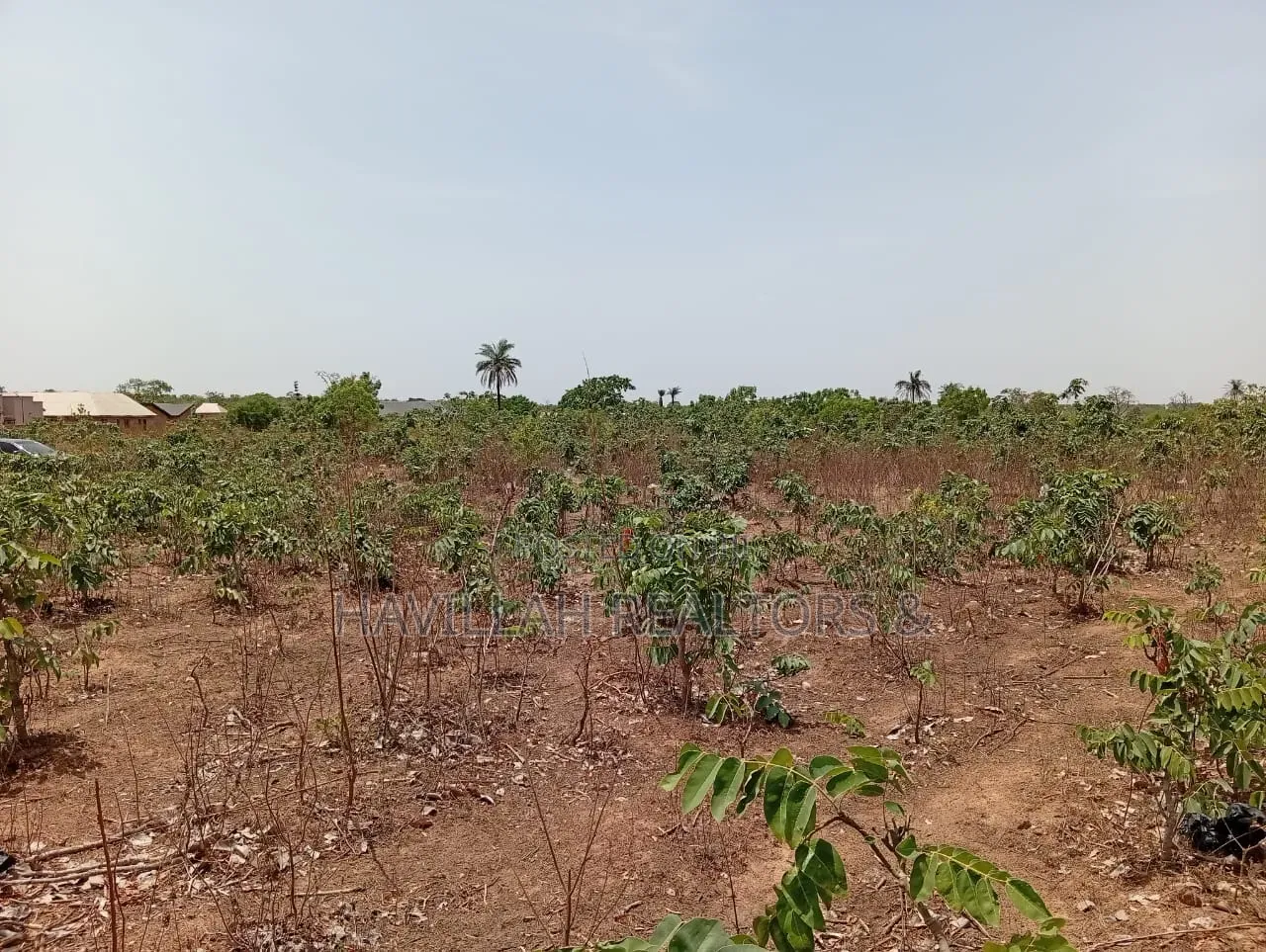50 Plots of Land for Sale