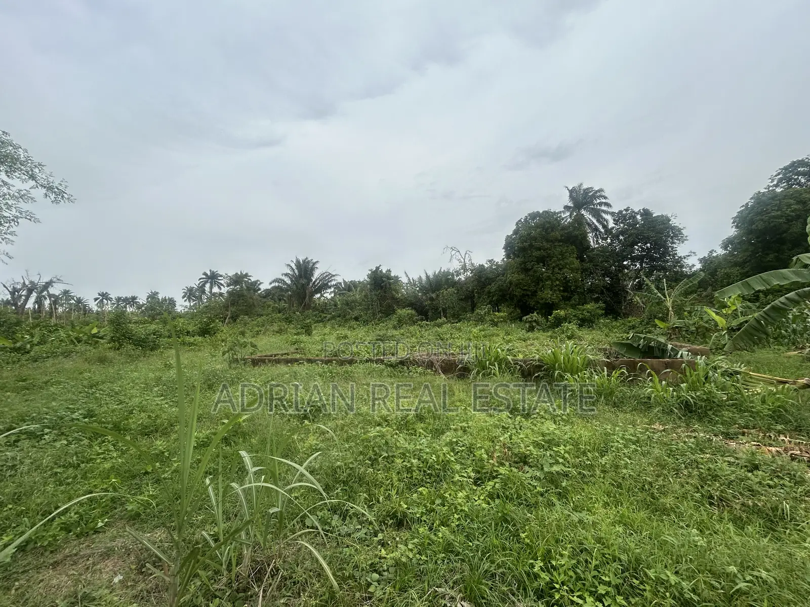 Standard 3 Bedroom Foundation On A Full Plot Of Land!
