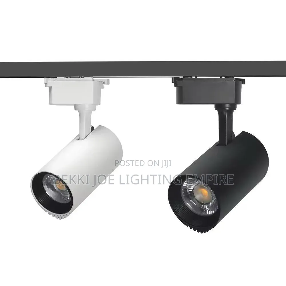 Track Light Black and White Body Type