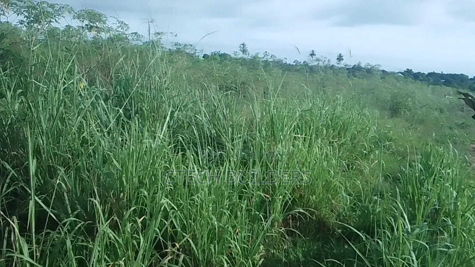 Plots for Sale