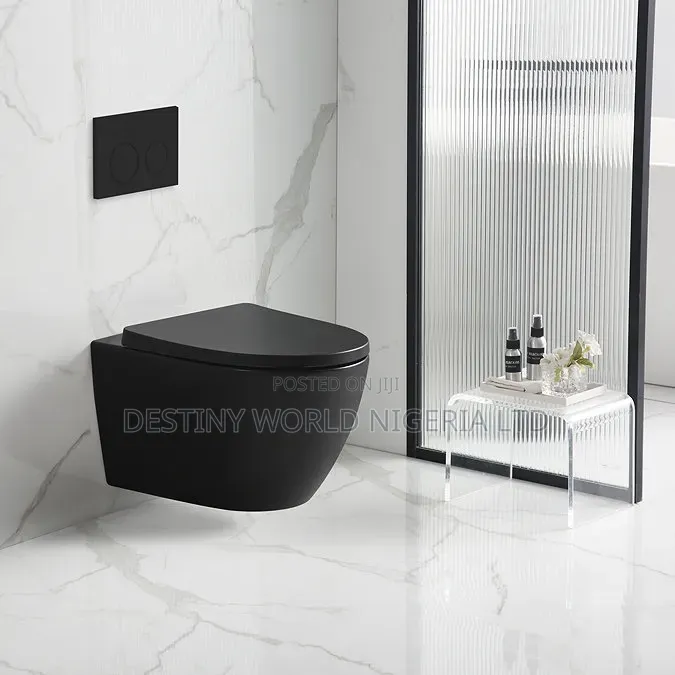 Luxury Black Wall Hung Toilet 