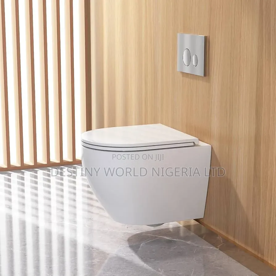 Luxury White Wall Hung Toilet 