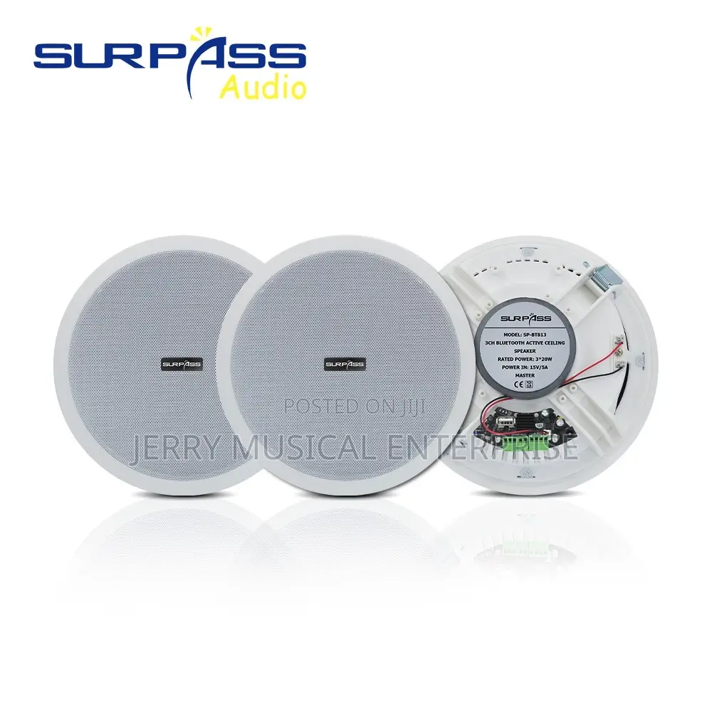 3n1 Surpass Audio Speaker Ceiling Speakers
