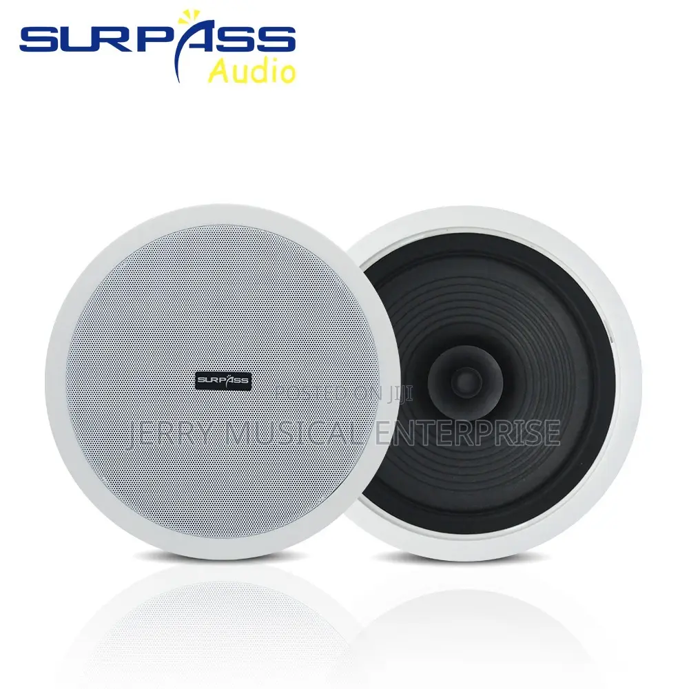 Surpass 2n1 Audio Sound Speaker