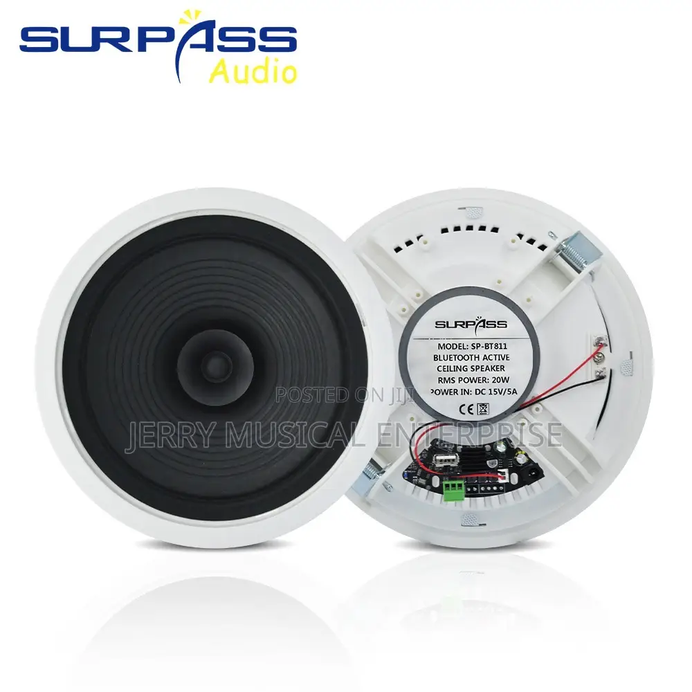 Surpass 2n1 Audio Sound Speaker