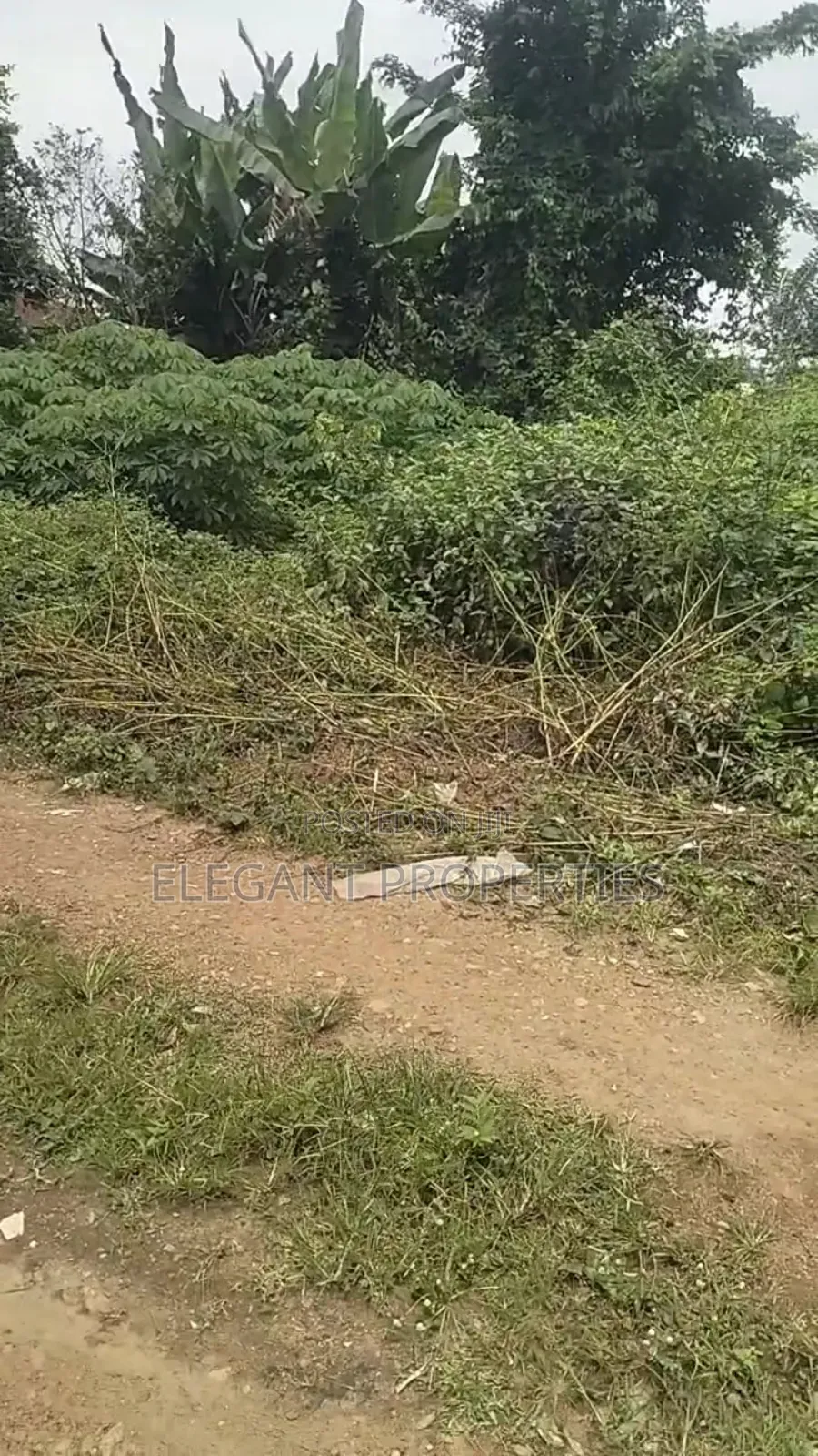 2 Plots of Genuine Land at Prime Area
