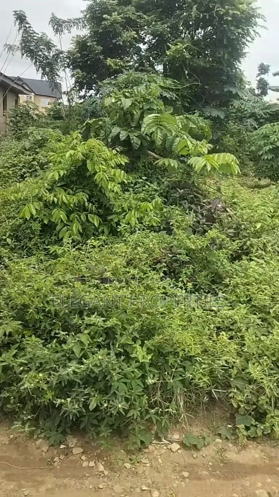 2 Plots of Genuine Land at Prime Area