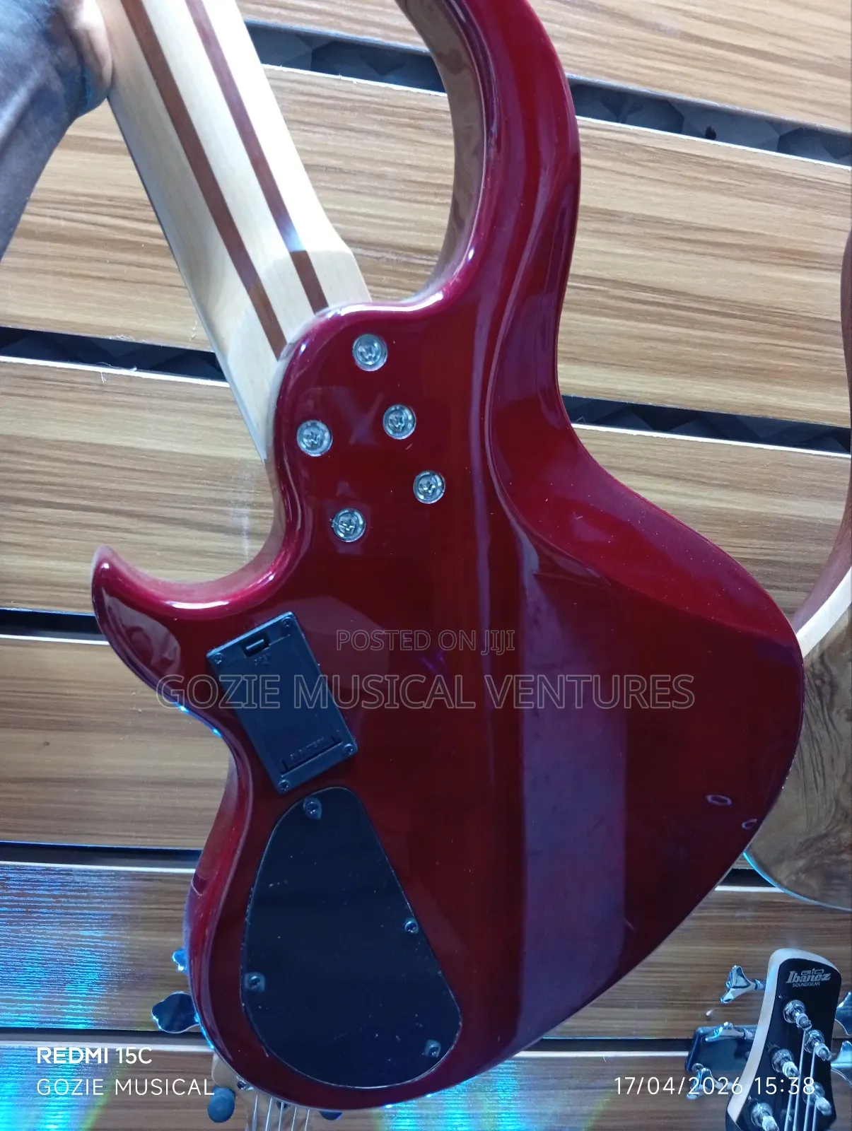 Premium Strinberg Horizon Series 5- String Active Bass Guitar