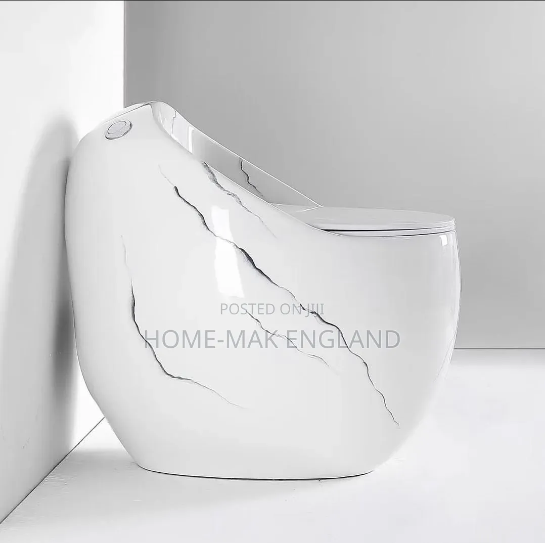 Luxury Marble Design Water Closet